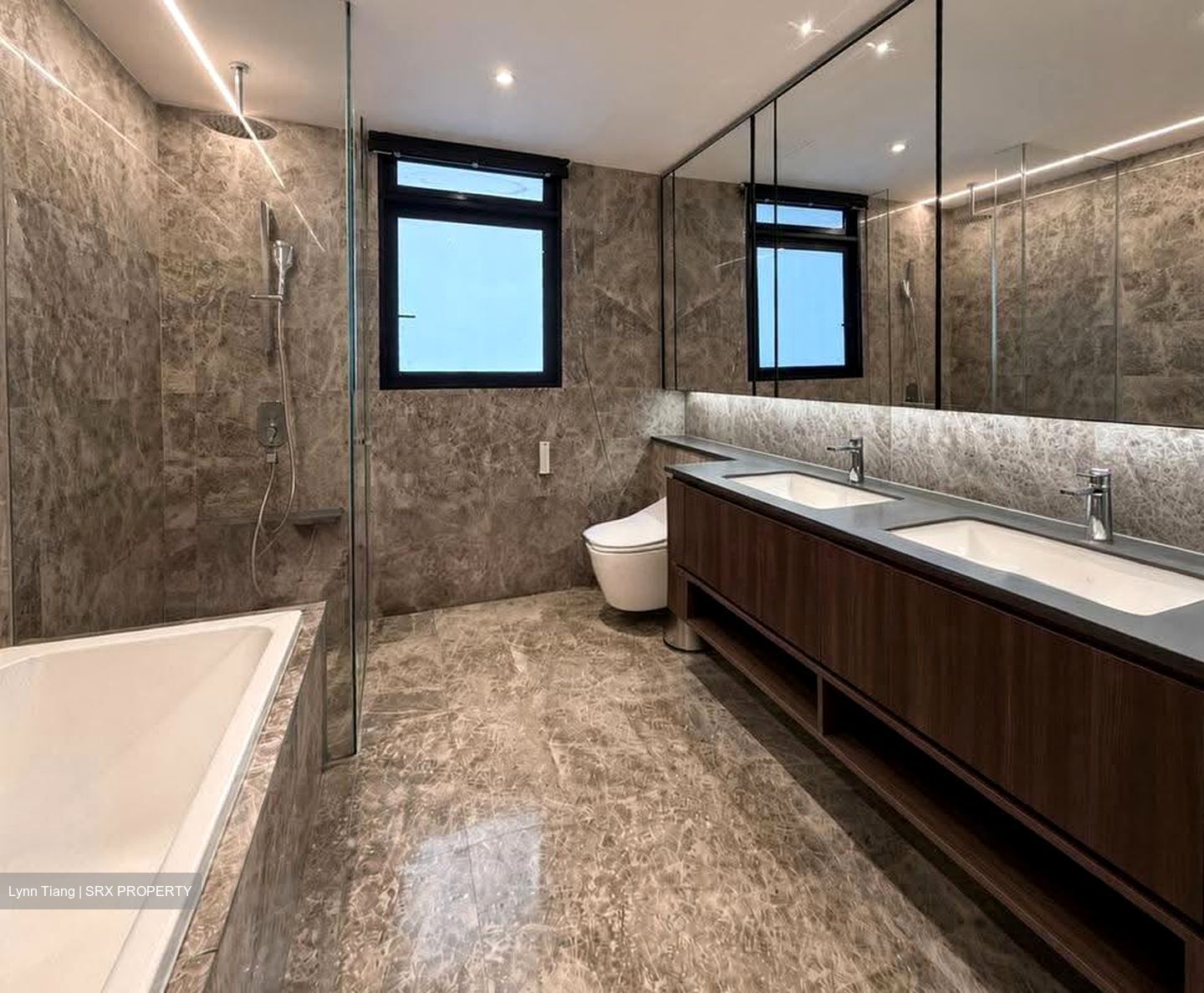 Kopar At Newton (D9), Apartment #636869111